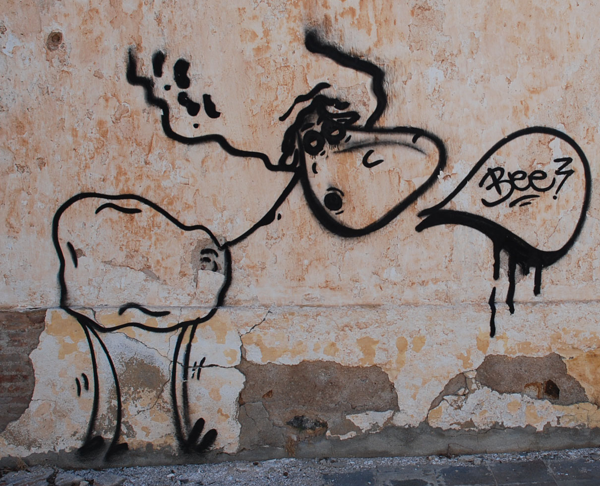 Grafiti Cabo de Gata